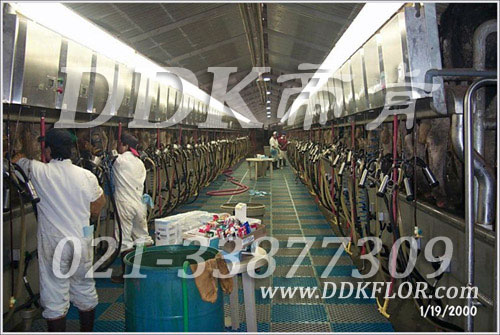 帝肯(DDK)_8100QBesen|贝森Q养牛场挤奶通道用塑料地?挤奶厅防滑垫,奶牛场用防滑? title=