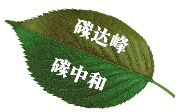 
零碳未來(lái)的產(chǎn)業(yè)影響小解，以及個(gè)人生活如何參與碳足跡？